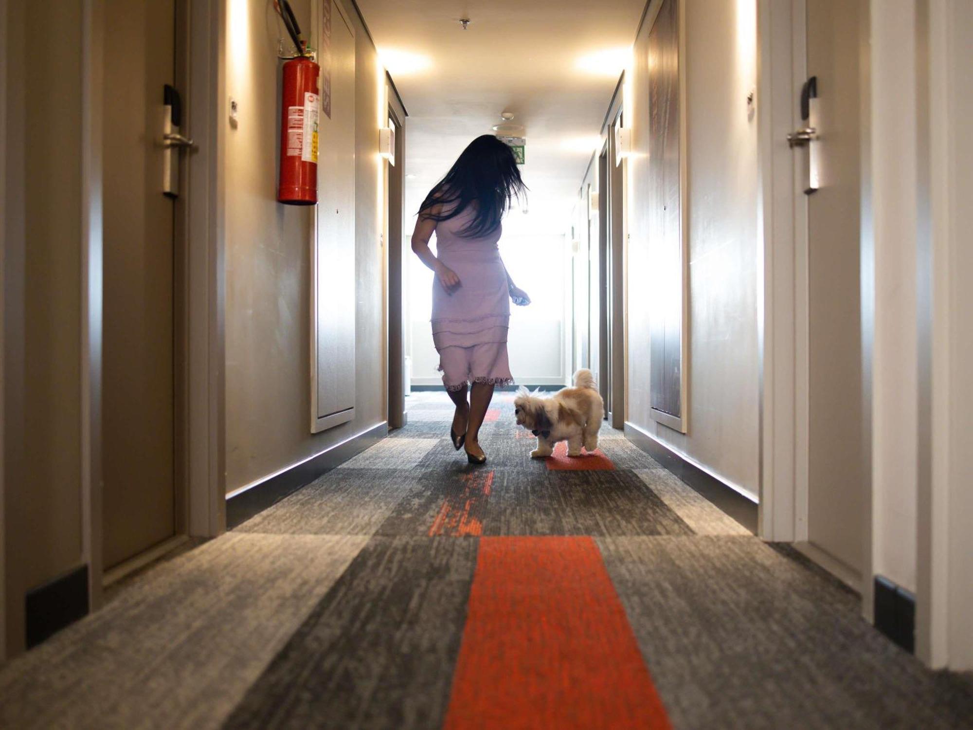 Ibis Hotel